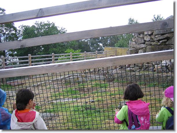 Diapositiva siguiente